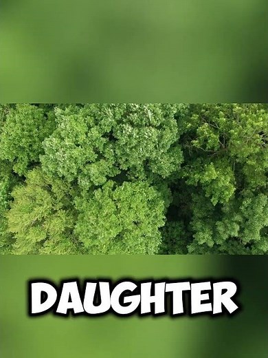 Cardi B's $1M Mansion Tour