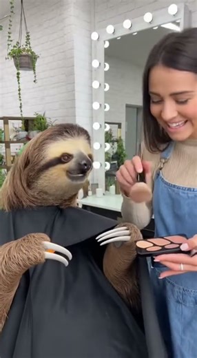 💅 Angry Sloth's Makeup Meltdown! Hilarious Talking Short 😡 #shorts