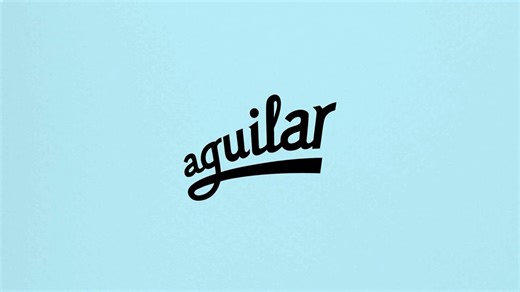 Aguilar | 一步到位了解Filter Twin单块