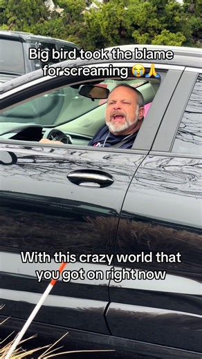 Bro blamed big bird instead of me 😭🙏 | big bird