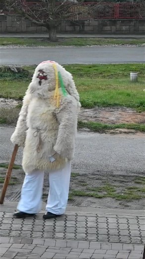 Különleges vendégeim érkeztek #vendégség #csobányolók #betlehemes | Csibi Krisztina