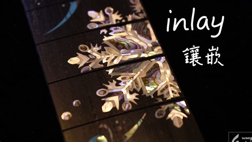 Fretboard Inlay贝壳镶嵌设计
