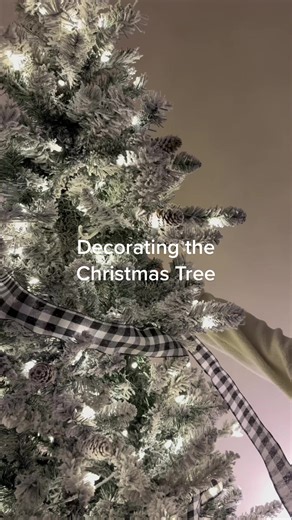 Brandon LaChappelle on TikTok