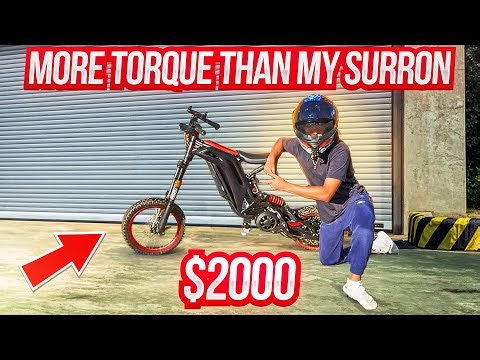 This $2000 Bike Has CRAZY Torque (ViPER S)