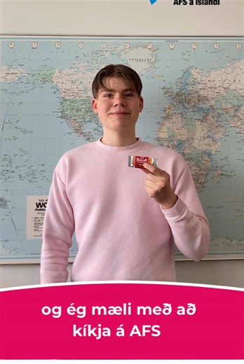 Experience Abroad with AFS in Belgium