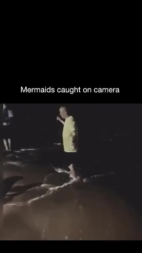 Catching Mysterious Birds on Camera Near Water