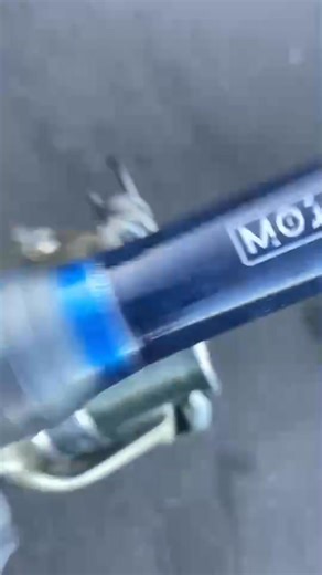 MOJO Works did the damage. Happy Angler. 🎣🎣🏆 TightLine | Mojo Works