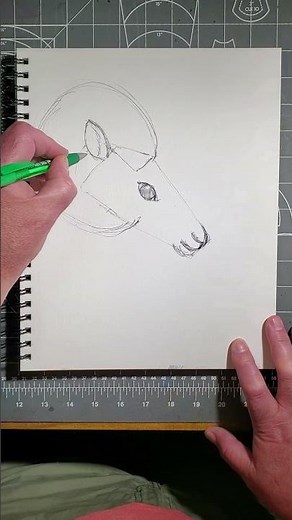 How to Draw a Bighorn Sheep's Head!