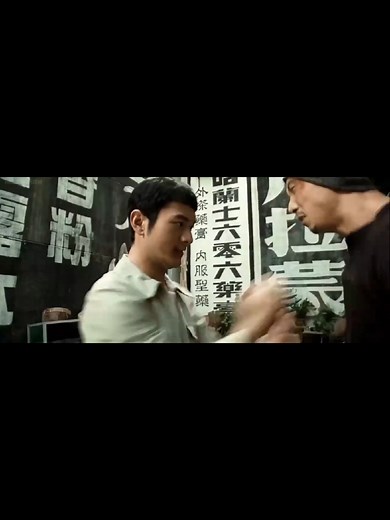 Ip Man 2: The Power of Wing Chun Mastery