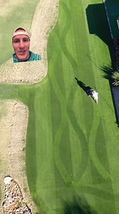 My Top 3 Lawn Tips | The Lawn Tools