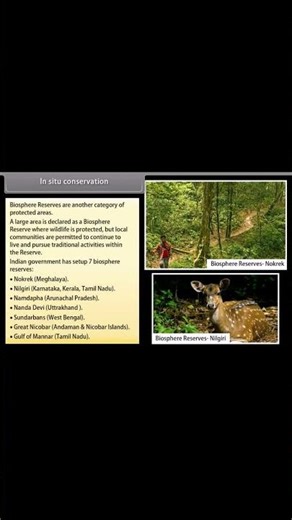 BIODIVERSITY AND CONSERVATION PART 35 #biodiversity #biology #science