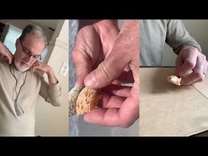 Welcome To The Rousch Household: Natural Sea Shell Jewelry Making By My Husband