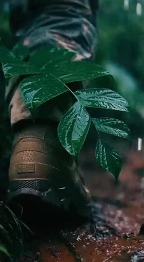 U.S. Special Forces — Modern Operations | Monsoon Ridge Line Advance