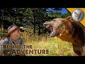 Grizzly Bear - Behind the Adventure