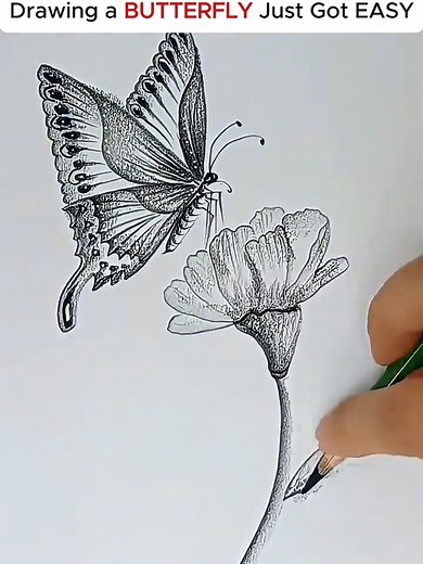 Easy Butterfly & Lobster Drawing Tutorial | Step-by-Step Art