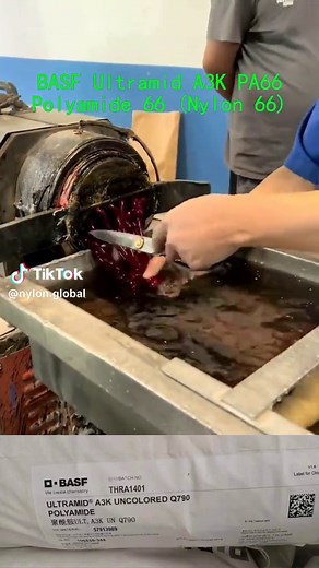 Nylon global trên TikTok