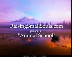 DISABILITY AWARENESS