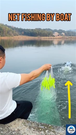 Remote Control Net Casting 🐠Smart Pond Fishing Technique🌿🐟 #fishing #villagepond #fishingequipment
