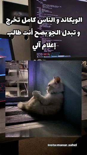 ‎Manar : منار‎ on Instagram: "#weekend #weekendvibes #weekends #informatique #computerscience #computer #developer #engineerlife #engineer #engineering #students #studentlife"