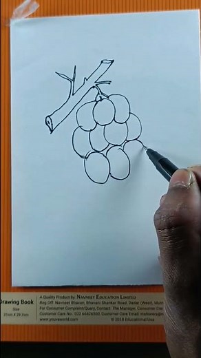 line drawing very easy