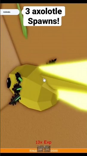 3 axolotl spawns in Roblox Animal Simulator