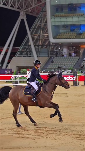 Understanding Horse Jumping Techniques