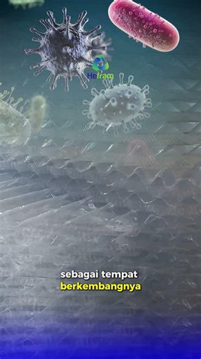 Jangan Pakai Honeycomb Kalau Nggak Mau IPAL Lebih Optimal #watertreatment