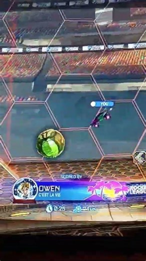 #nixisdragon #dragon