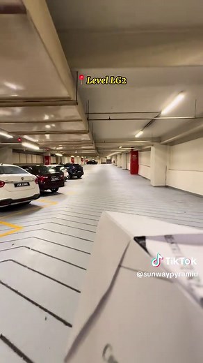 TikTok - Make Your Day