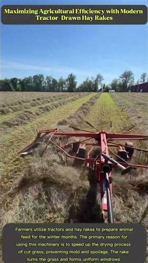 Streamlining the Harvest: Transforming Cut Grass into Perfect Windrows