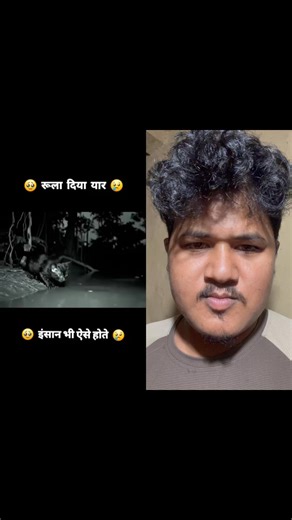 Python save a cat baby #python #CatLovers #reactionvideo #reaction | Dêãd Pöõl Rèbørñ