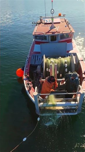 Lake Washington Coho — Tribal Set-Net, Community Tradition | 4K DJI Avata