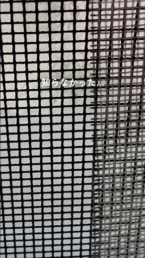 これ知ってた？【網戸簡易対策】