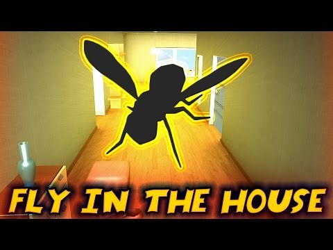 EthanGamerTV plays Fly in the House