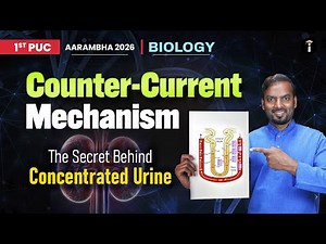 Counter-Current Mechanism Explained! The Secret Behind Concentrated Urine | 1st PUC Biology