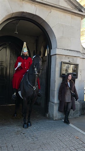 King' Guard Beautiful Horses