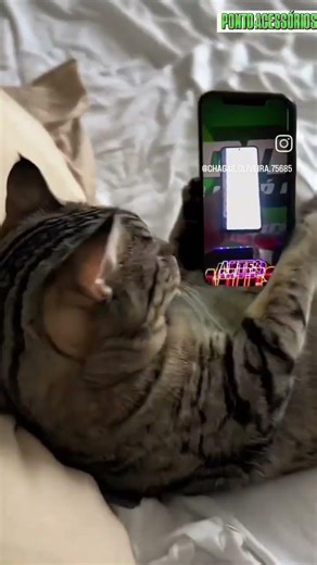 o Gato assistindo #smart o antes e depois da tela do REDMI NOTE 11