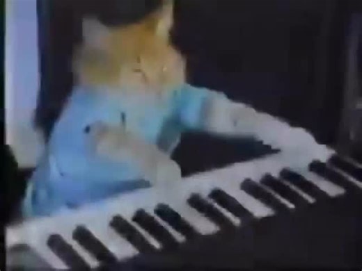 Mint Nostalgia on Instagram: "Keyboard cat, rest in peace legend ❤️‍🩹 2007 (1984.) - Keyboard cat! - The ORIGINAL! By keyboard cat! #fyp #nostalgia #cat #cats #keyboardcat #fypシ #foryou #oldinternet #meme #memes #2007 #1984 #cute"
