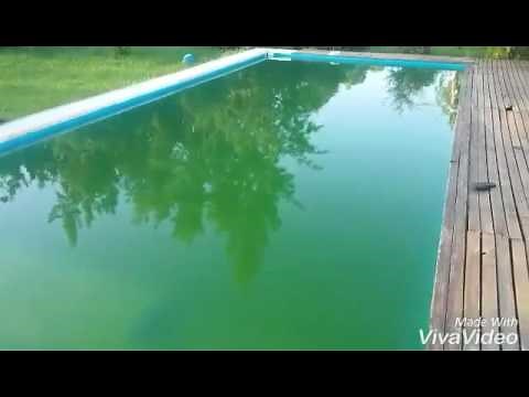 Tutorial como limpiar piscina con agua verde