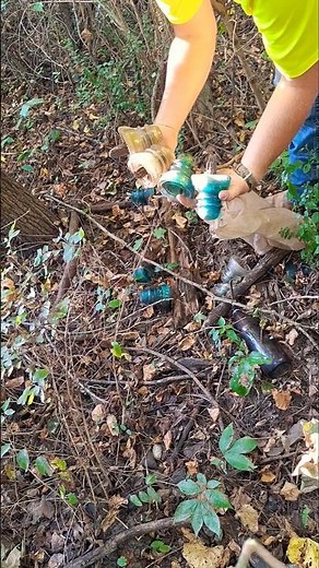 Glass insulator hunting looking for and collecting antique glass insulators