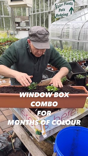 9.3K views · 239 reactions | Simple Window Box Combo to flower until...