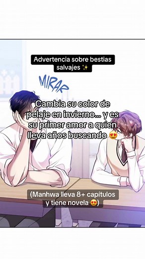 Advertencia sobre bestias salvajes 😍 El manhwa está hermoso! y estoy leyendo la novela porque no pude esperar jajajaja #advertenciasobrebestiassalvajes #manhwa #hibrido #panteranegra #boyslove