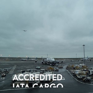 1UP Cargo on Instagram: "1UP Cargo is an International Air Transport Association Approved Cargo Agent. Being part of IATA means we work directly with airlines, both domestic and international. This enables us to react quickly and remain in control of airfreights. This makes moving your air cargo as simple, straightforward, and quick as possible. #IATA #AirCargo #FreightForwarding #AirFreight"