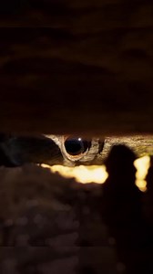 106K views · 1.9K reactions | Baby Groot Enjoy with little aliens #viralpost2025 #marvelmovieclips #highlighteveryone #marvelcomics #mcu | Vishaal Kumaar | Facebook