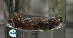 Making Raisins Dance