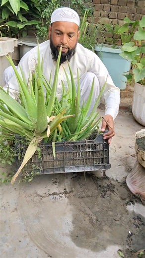 Shehraz Gardening on Reels