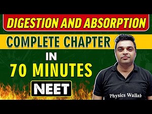 DIGESTION AND ABSORPTION in 70 minutes || Complete Chapter for NEET