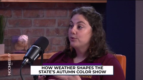 Fall’s slow start: How weather shapes Minnesota’s autumn color show