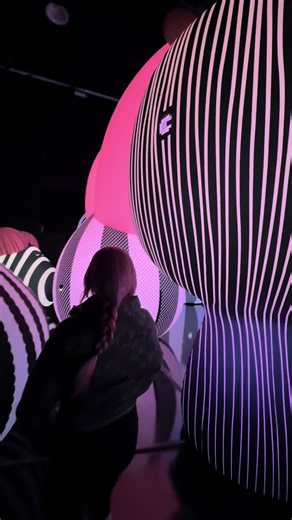 Balloon Museum Chicago visit: what to expect