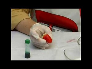 Painting Marzipan Desserts